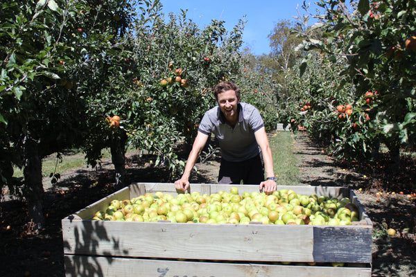 Cider